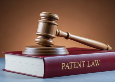 Patent Litigation